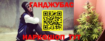 гидропоника Новозыбков