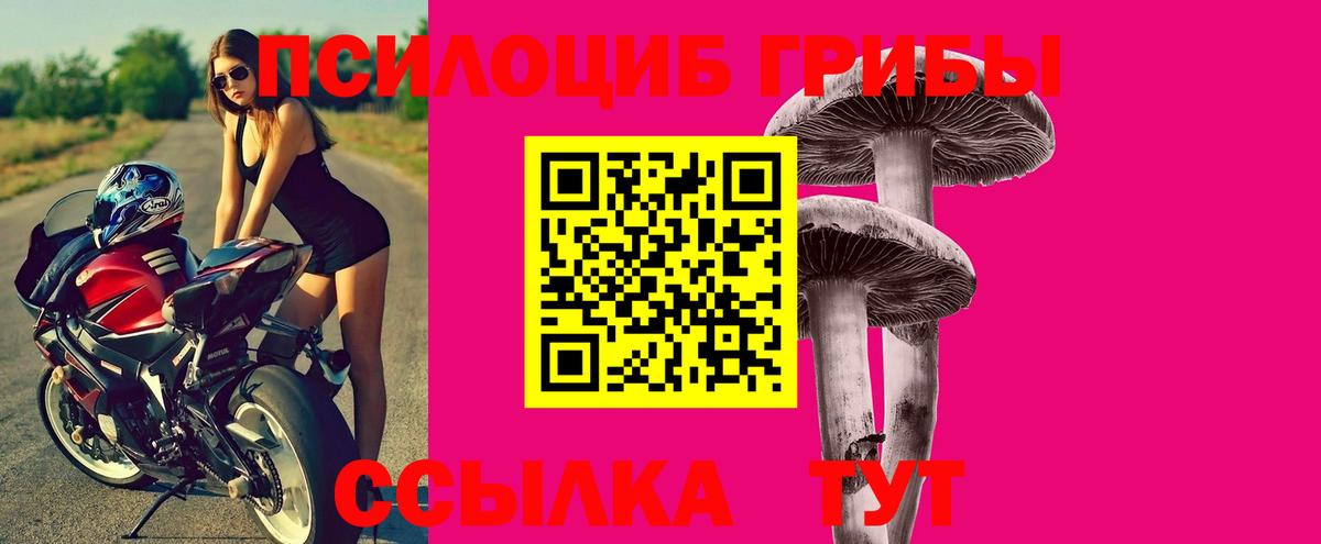 Северобайкальск  Галлюциногенные грибы MAGIC MUSHROOMS  Вход с VPN  Псилоцибиновые грибы Cubensis 