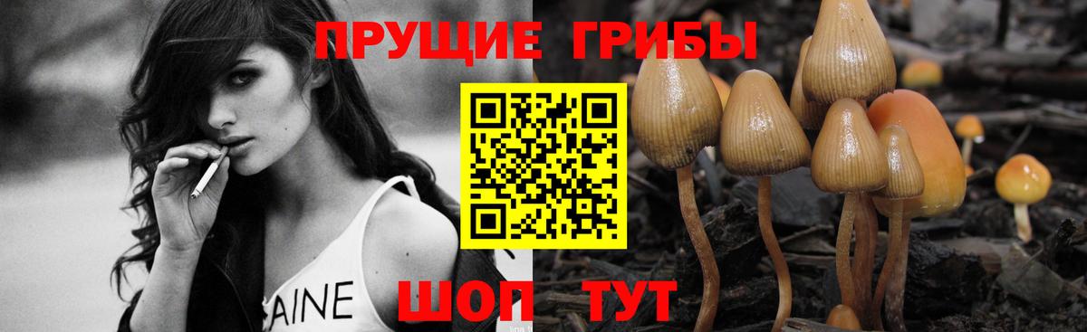 Галлюциногенные грибы GOLDEN TEACHER Северобайкальск
